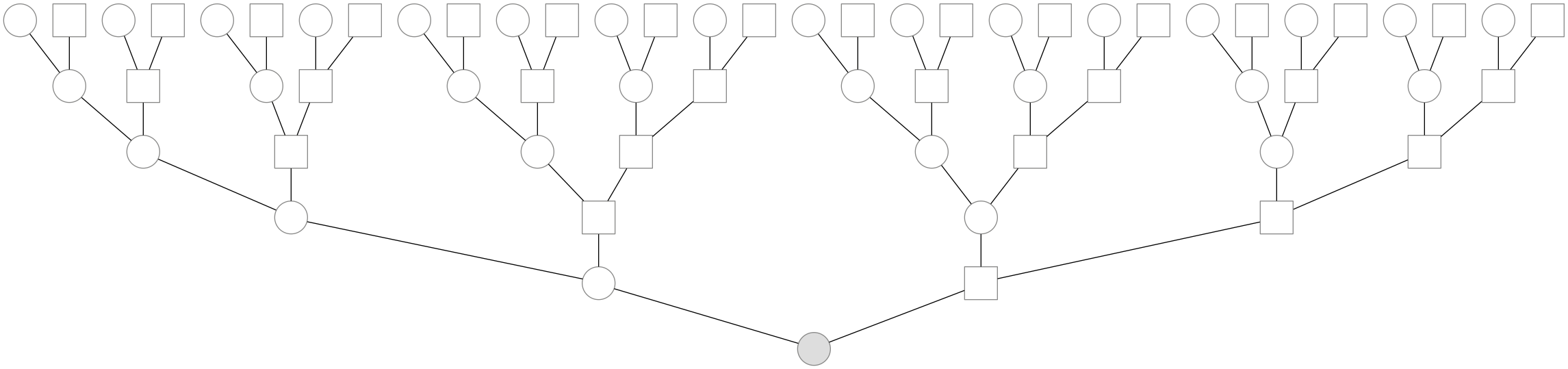 A genealogy back five generations. k generations back, one has 2k ancestors. Circles indicate females, and squares males. The shaded individual is a present-day female.